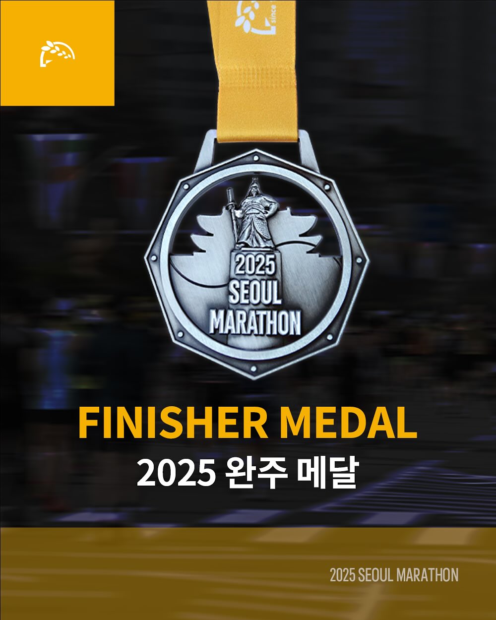 2025 서울마라톤 기록조회 동아마라톤 확인 풀코스 10km 일정 기념품 동마 참가비 추가접수 참가신청 방법