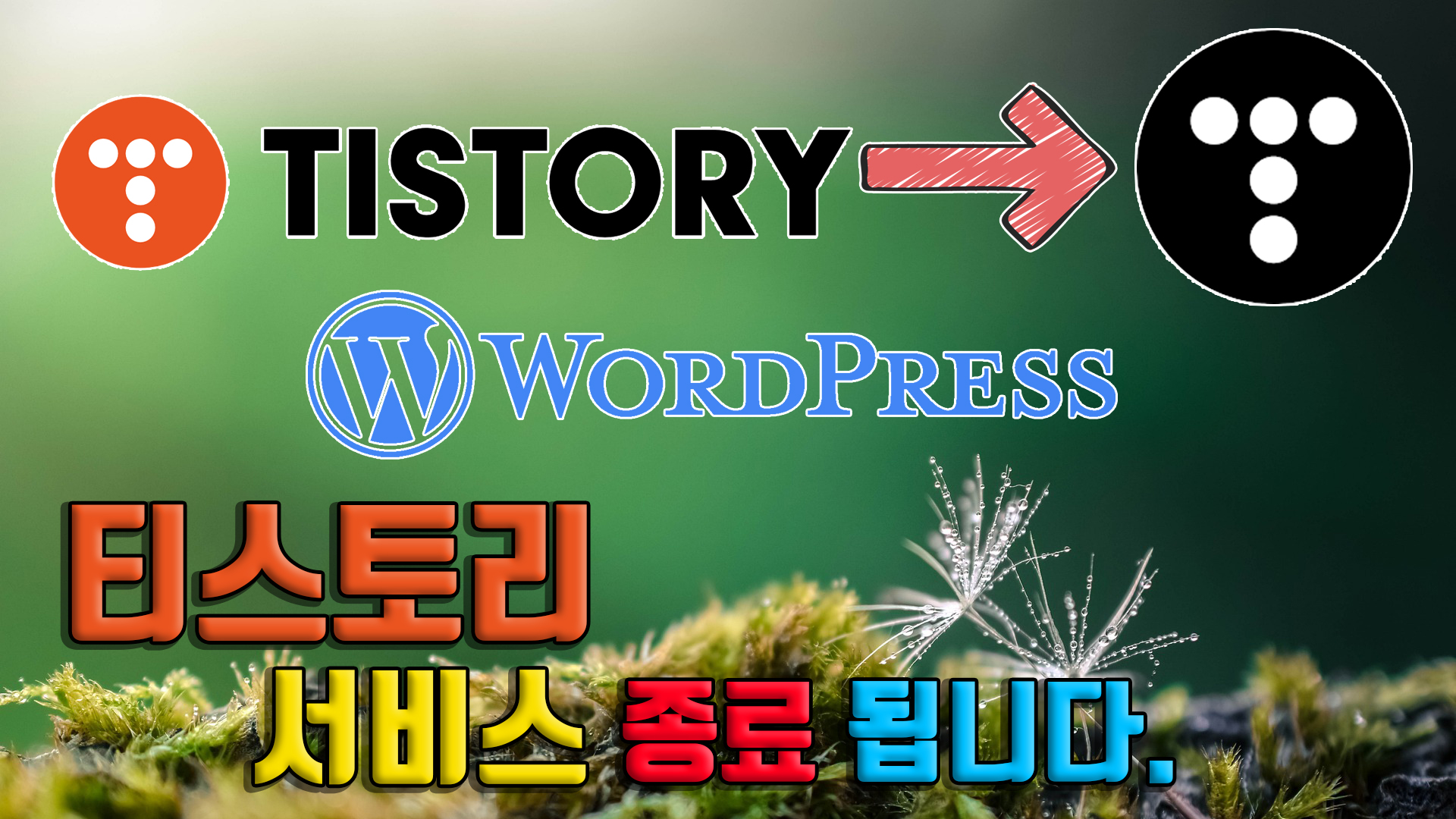 티스토리 서비스 종료 / 네이버 블로그 저품질 / 워드프레스 설치 애드센스 수익