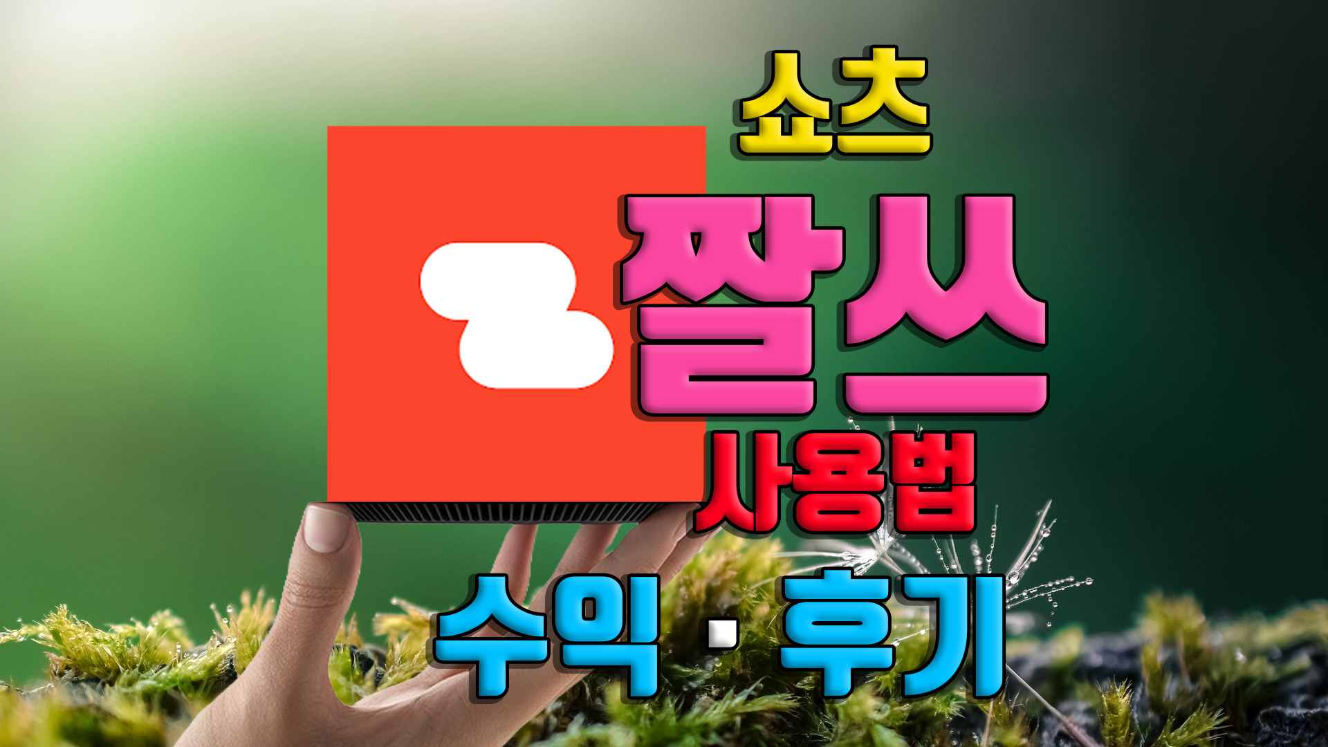 짤스튜디오 사용법 초대코드 추천인 KR6T31ODN5 유튜브 쇼츠 단가 수익 승인 정산 후기