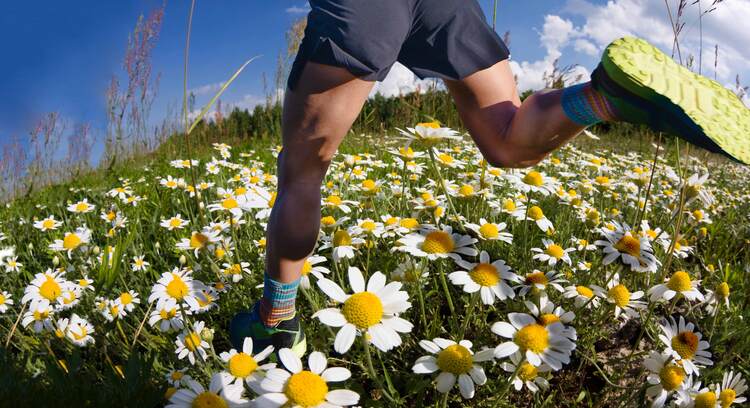 2025 서울 어스마라톤 접수 참가신청 방법 일정 10km 하프 기록조회 확인 기념품 참가비 가격